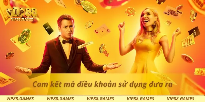 Cam kết mà điều khoản sử dụng đưa ra